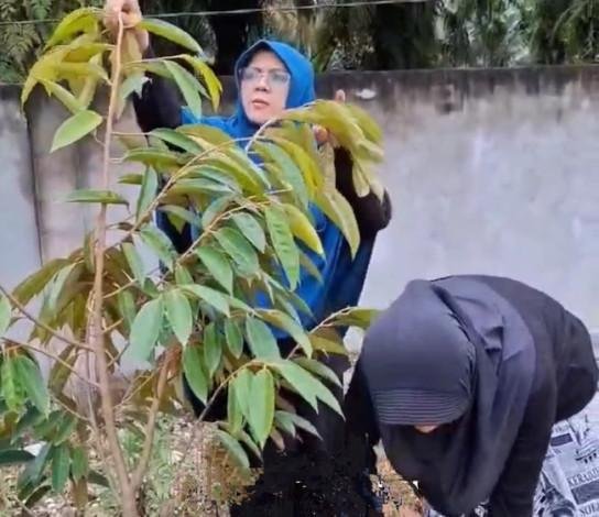 Afni Zulkifli Ajak Relawan dan Masyarakat Siak Tanam Pohon sebagai Bentuk Syukur Usai Menang PSU