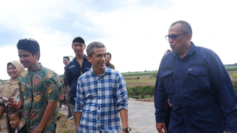 Pengembangan Sawit di Papua, Antara Peluang Energi dan Ancaman Lingkungan